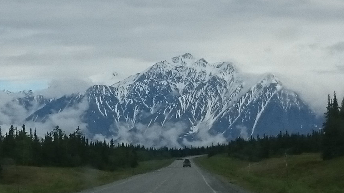 All I need is a Cinnamon Bun and a Road Trip